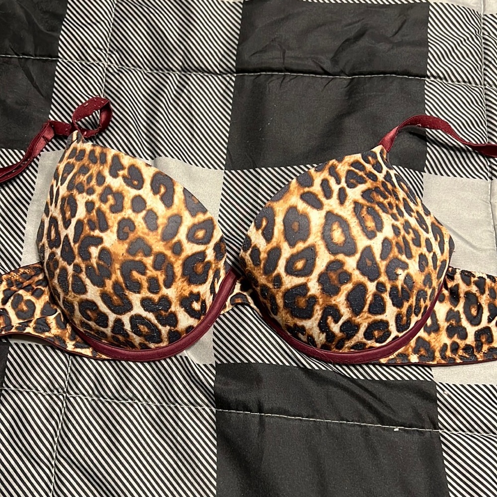 PINK Victoria’s Secret push up bra